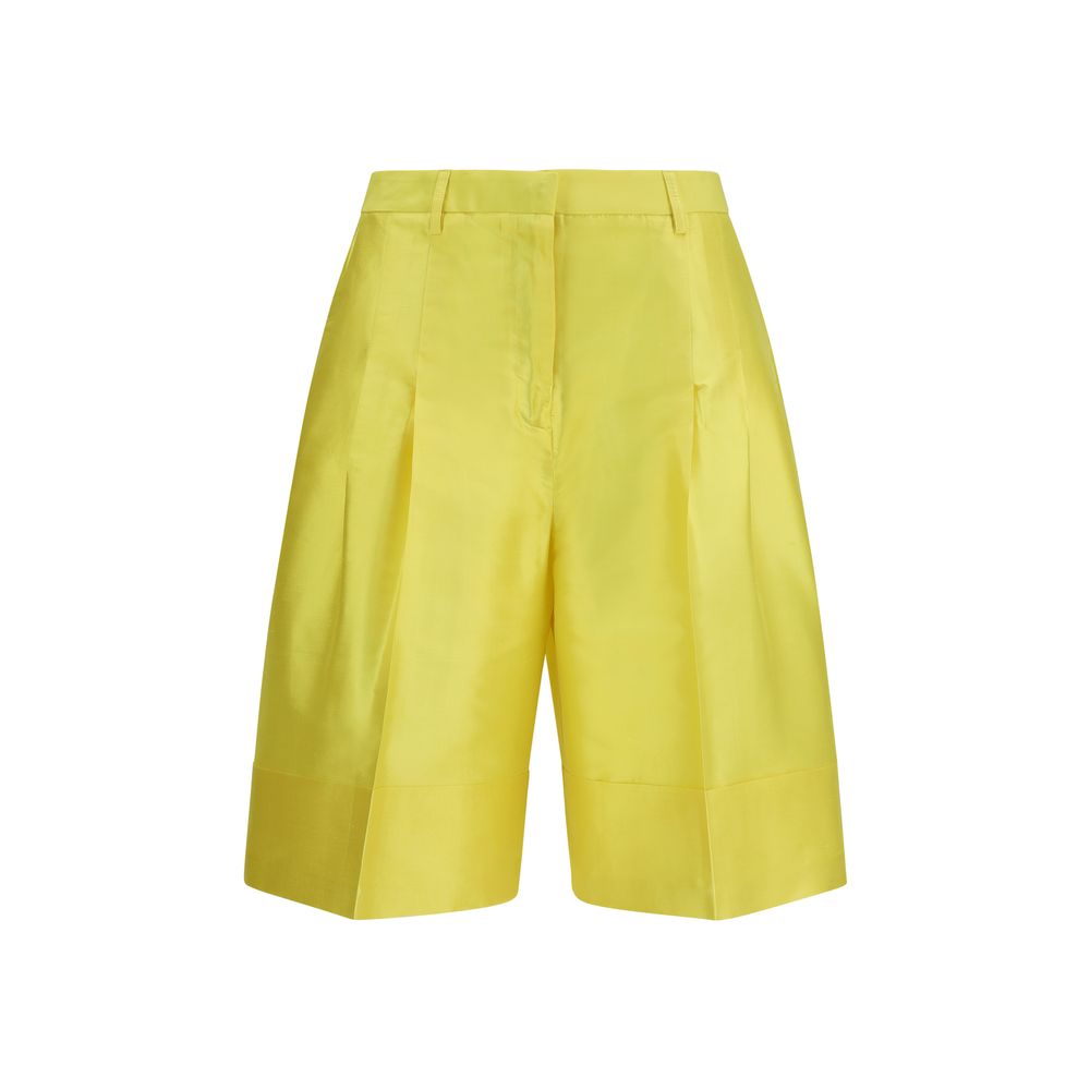 Sara Roka Bicolor Silk Knee Length
