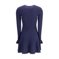 Self-Portrait Knit short pointelle Dress