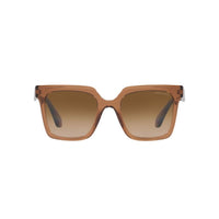Giorgio Armani Brown Acetate Sunglasses