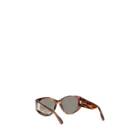 Balenciaga Brown Acetate Sunglasses